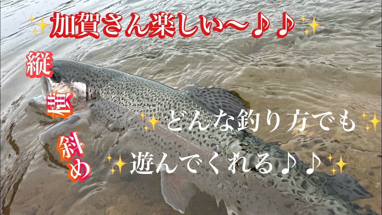 加賀さん最高👍じゃね?!って思うのよ🤔