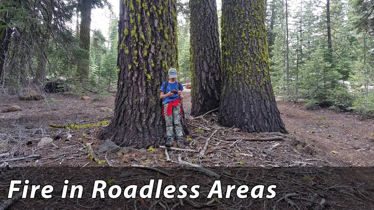 Talking about Roadless Areas