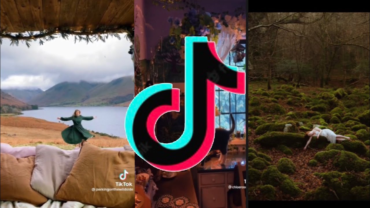 Forestcore tiktok for when you feel ✨fantasy vibes✨