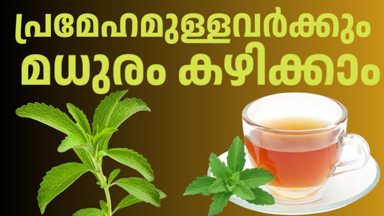 പ്രമേഹമുള്ളവർക്കും മധുരം കഴിക്കാം