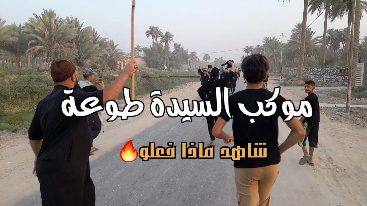 شاهد ماذا فعلو موكب السيدة طوعة | في طريق المشاية القاسم-الهاشمية
