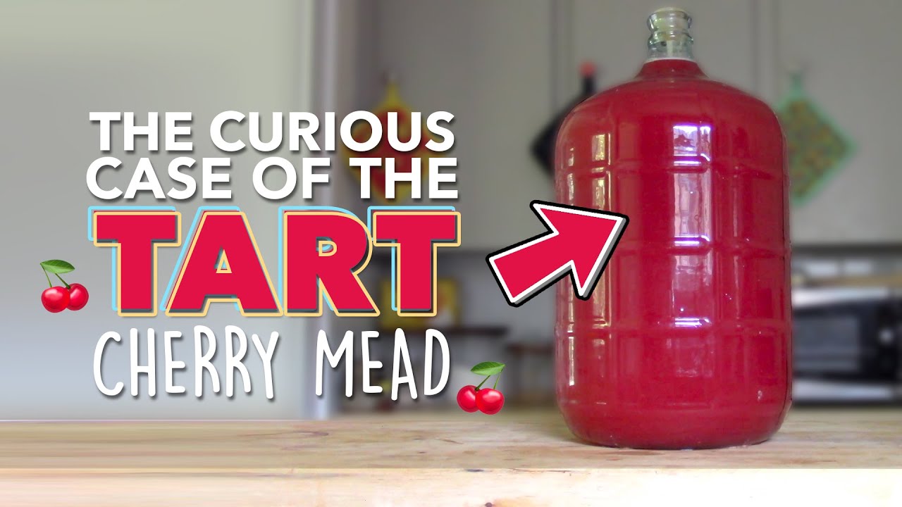 HOW TO FINISH THIS MEAD? 5 gallons of Tart Cherry Mead with an ambiguous future | Brewin' the Most