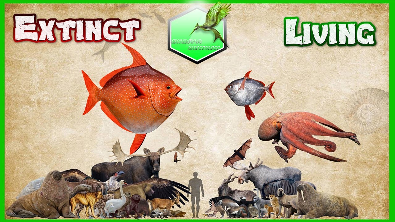 Animal Size Comparison [EXTINCT LIVING] 2023