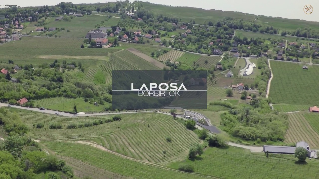 Laposa Borbirtok