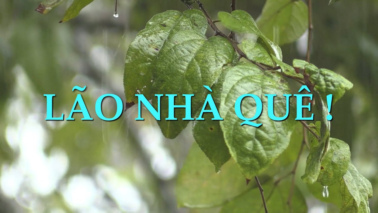 L&atilde;o nh&agrave; qu&ecirc; ! | Caf&eacute; T&acirc;m sự | Số 22 &ndash; 2024