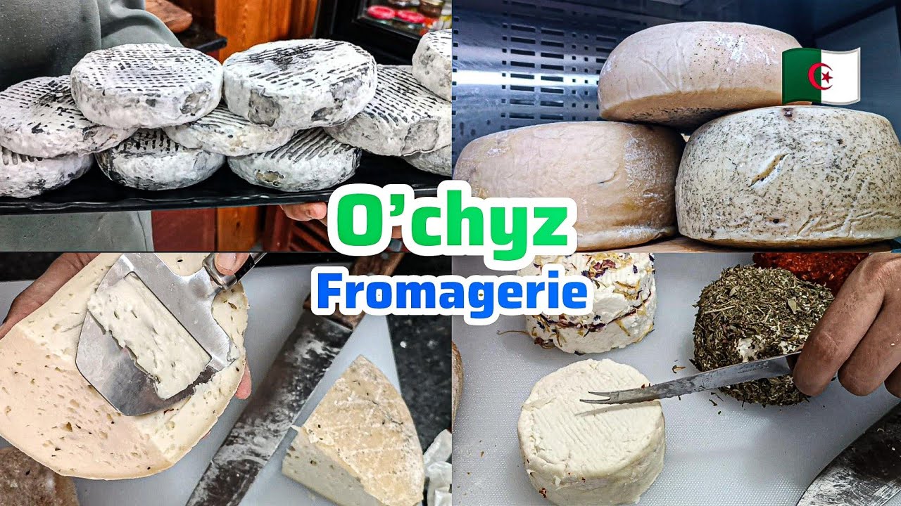 Plongez dans l'univers du fromage algérien à Oran avec O'chyz Fromagerie 100% Bio Artisanale