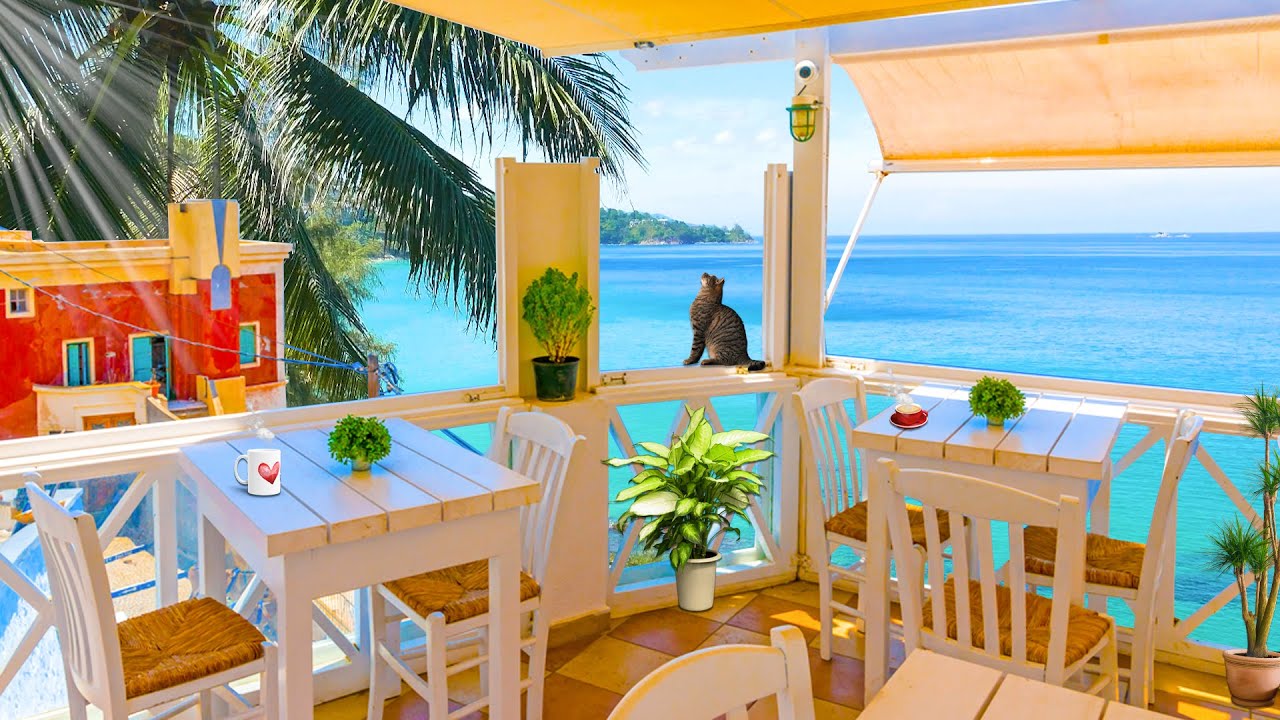 🏖 Fundy Outdoor Cafe Space 🏝 Morning beachside breakfast with soft Jazz music, Bossa Nova⛱
