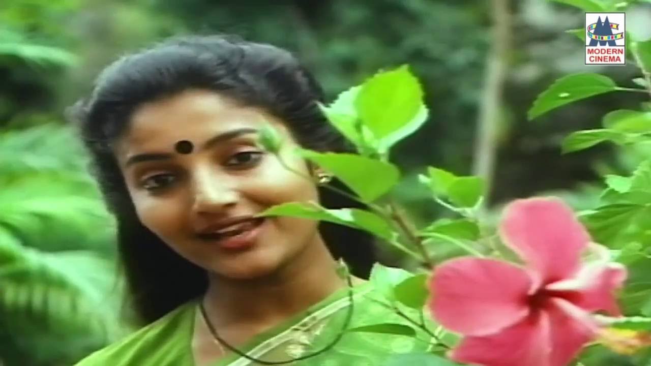 Oru Kilyin Song HD Poovizhi Vasalile