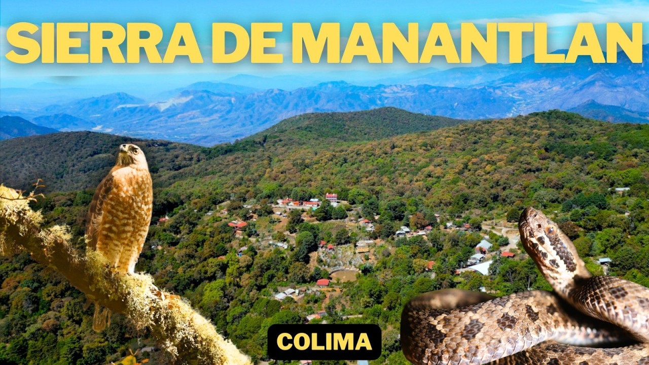 Sierra de Manantlán: El Pulmón del Occidente de México