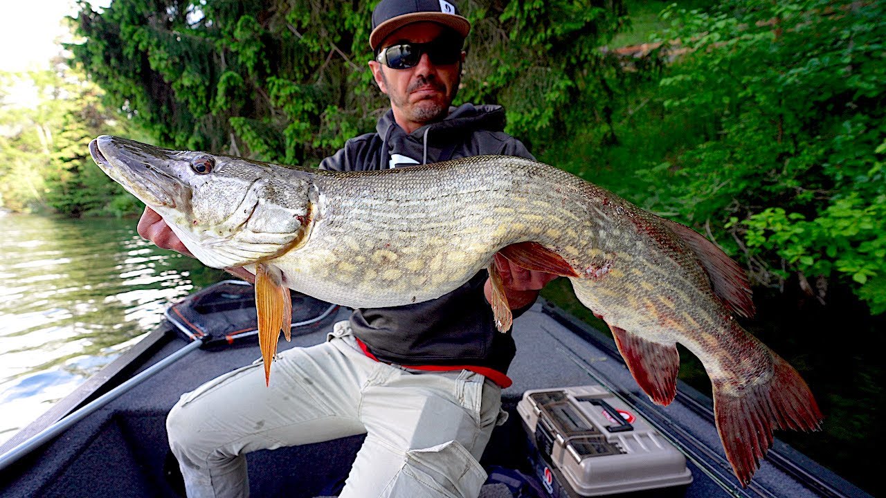 Pesca ai GROSSI LUCCI dell’ ALTO ADIGE - Fischer Paradies Haidersee