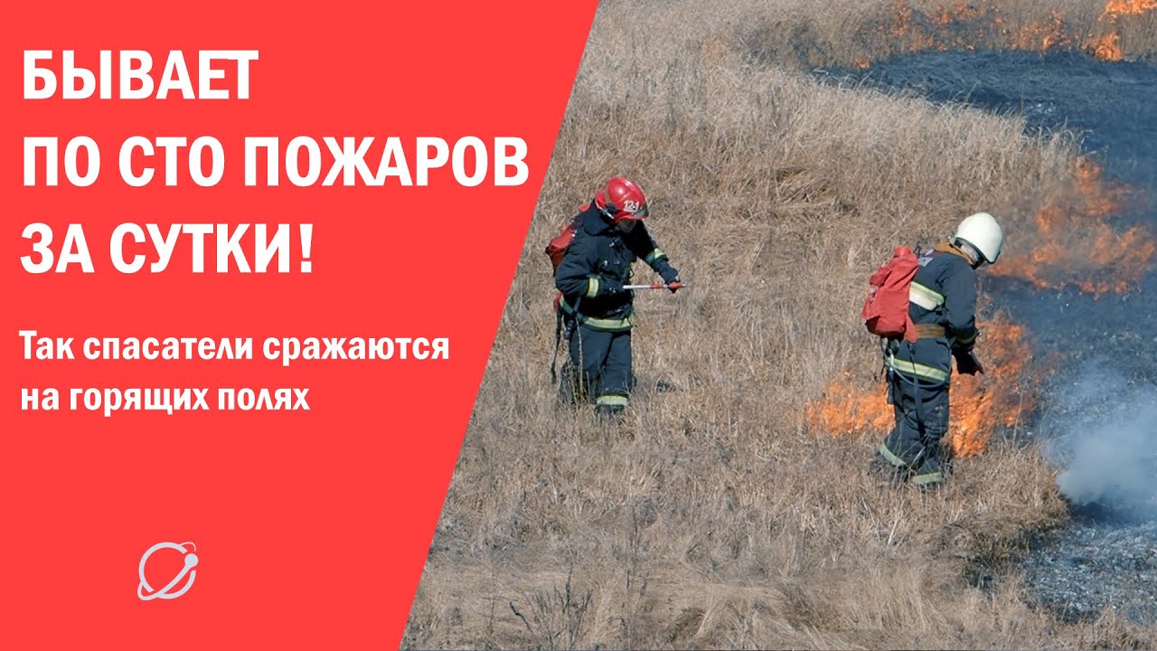 Пожары травы и леса в Беларуси | видеофакт