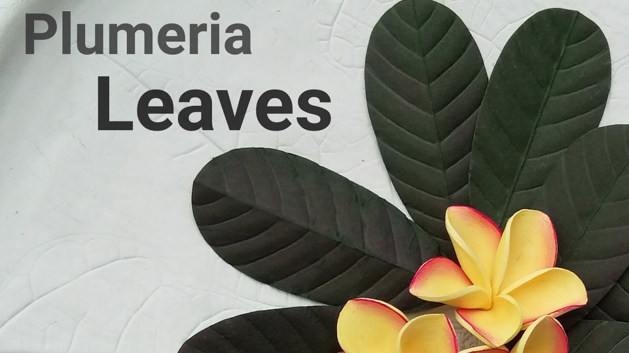 How To Make Paper Plumeria Leaves [Tutorial Daun Kamboja Dari Kertas [Frangipan Leaves [DIY