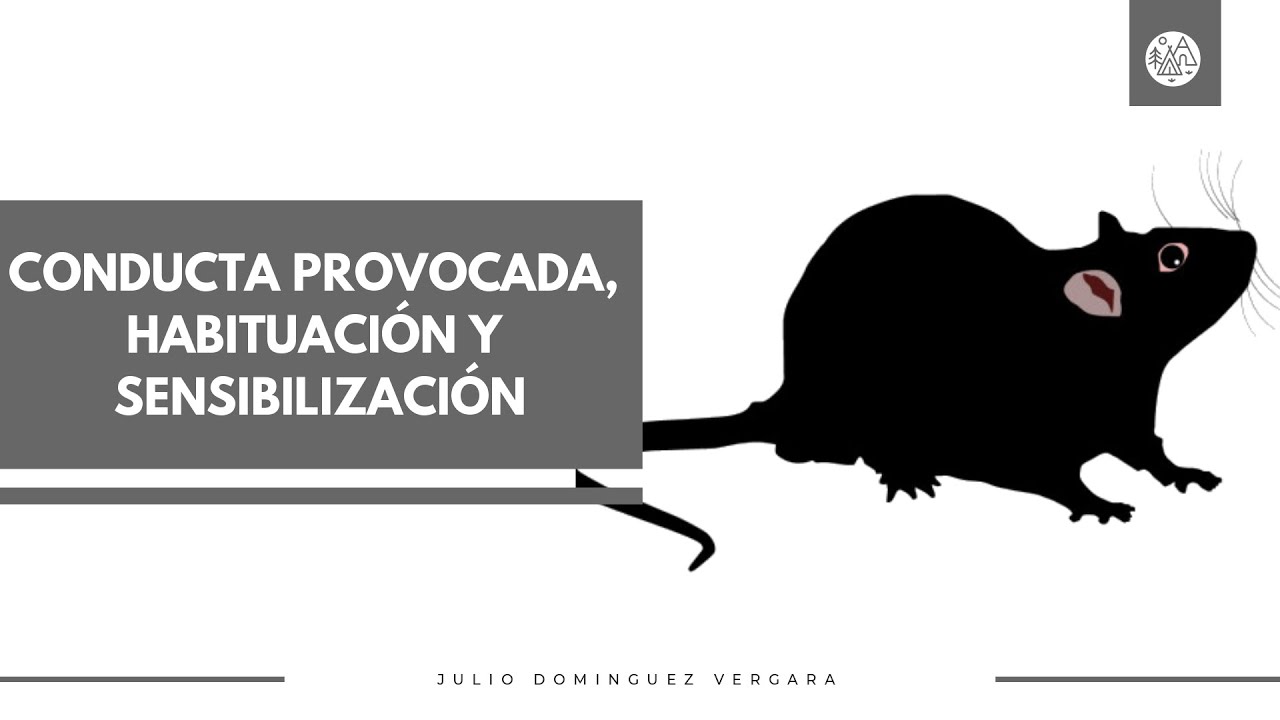 Psicología Experimental y del aprendizaje: Sesión 2