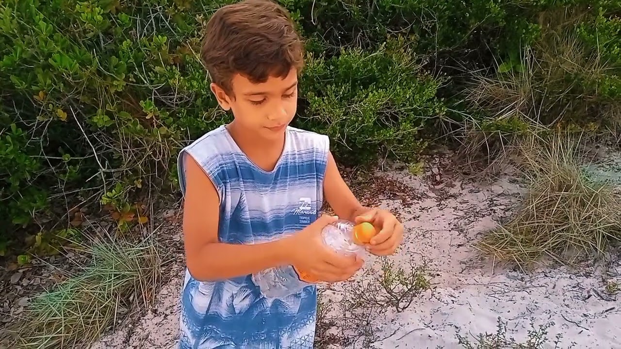 Quais s&atilde;o as chances de ter um segundo filho com Autismo.