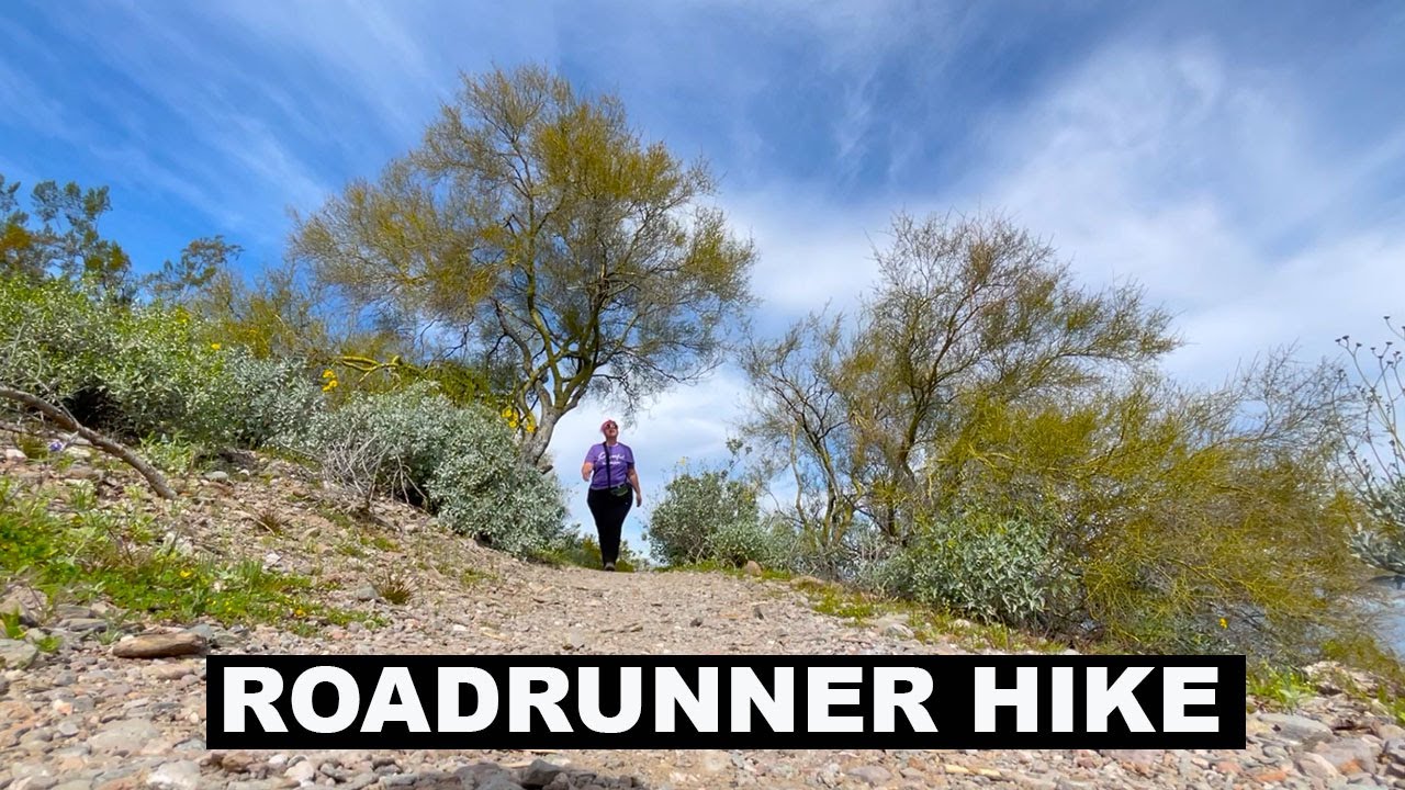 Roadrunner Trail | Lake Pleasant | Easy Hikes Around Phoenix