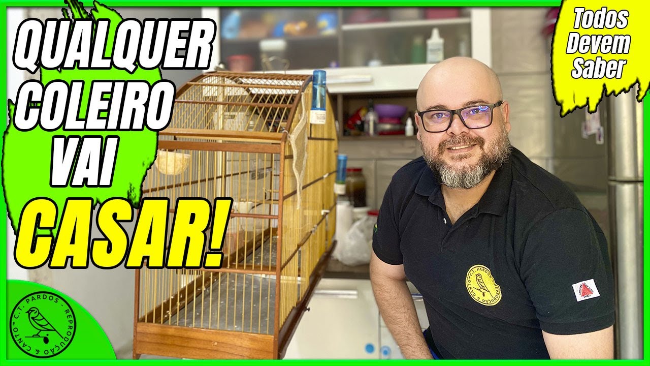 A PARTIR DE HOJE VOCÊ CONSEGUE CASAR QUALQUER COLEIRO RÁPIDO