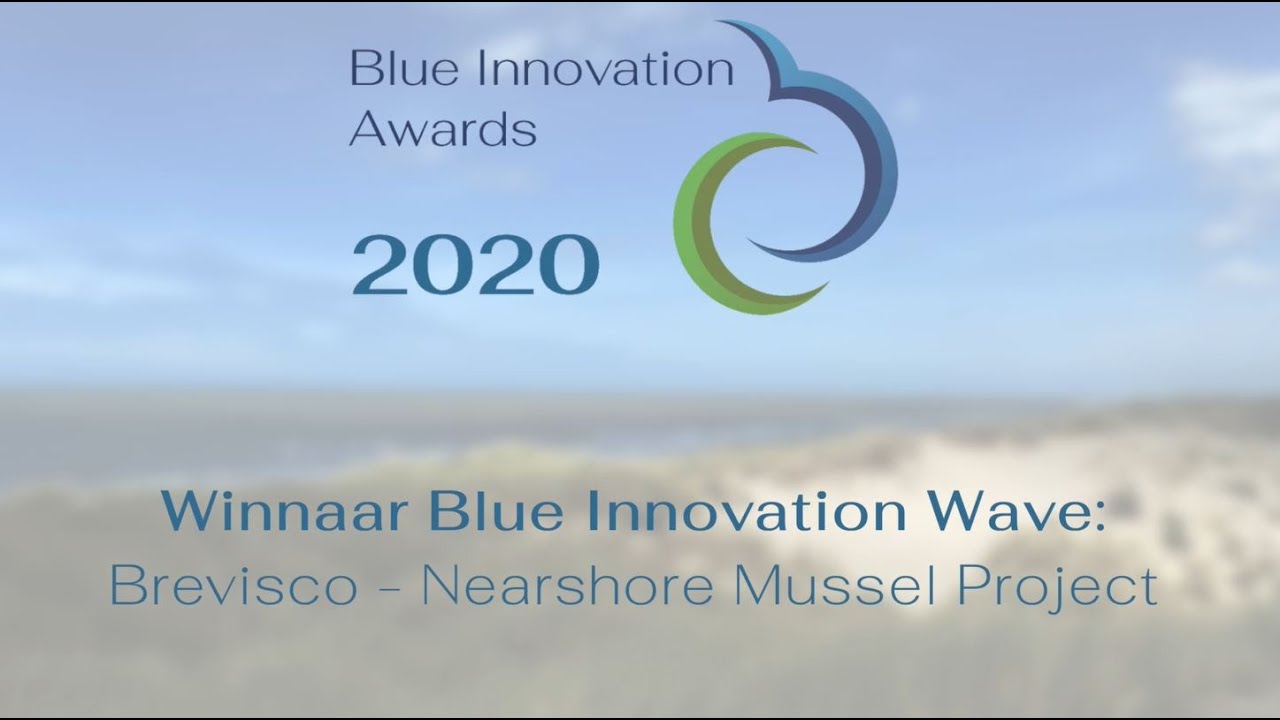 Blue Innovation Awards 2020  - Brevisco