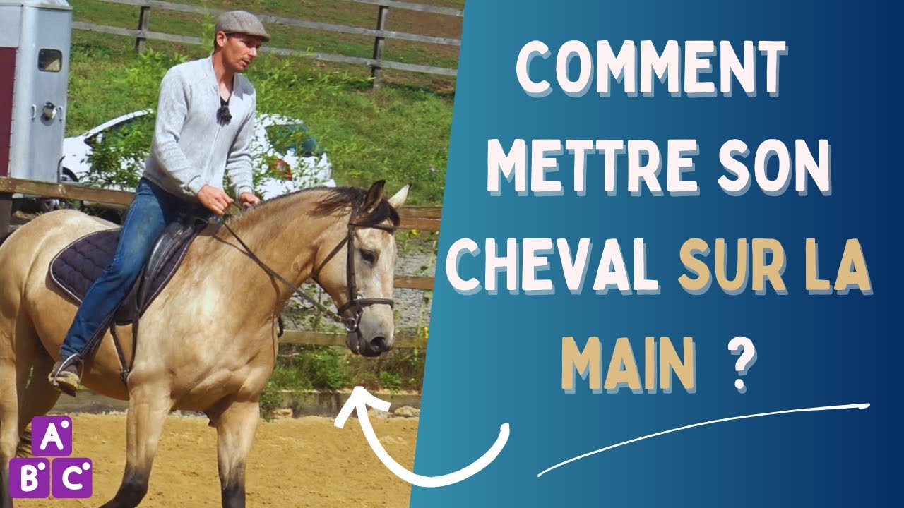 ⭐ La mise sur la main du cheval⭐