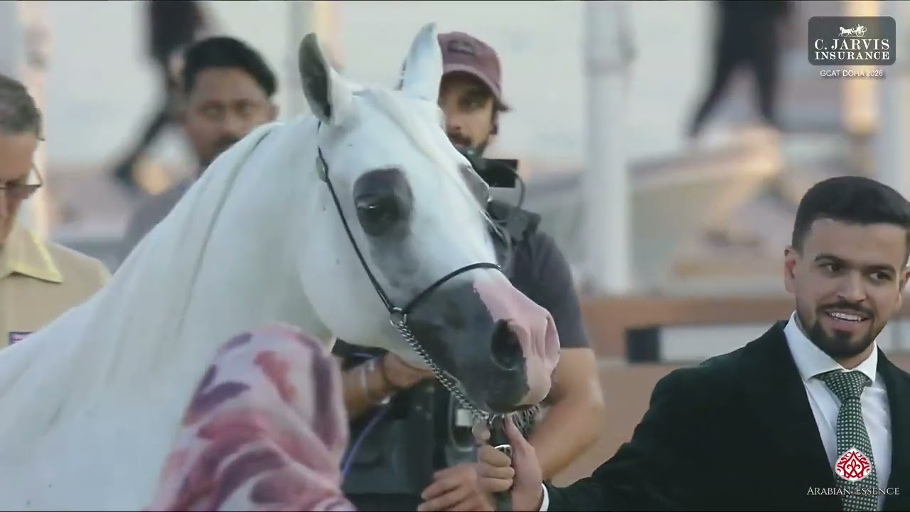 N.189 JUMANA DELPALAZZOTTO - GCAT Doha 2026 - Mares 11+ Years Old (Class 9)