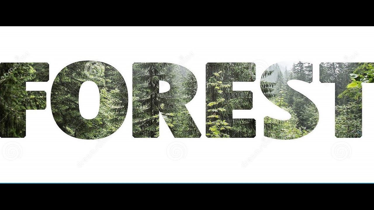 Forests / الغابات