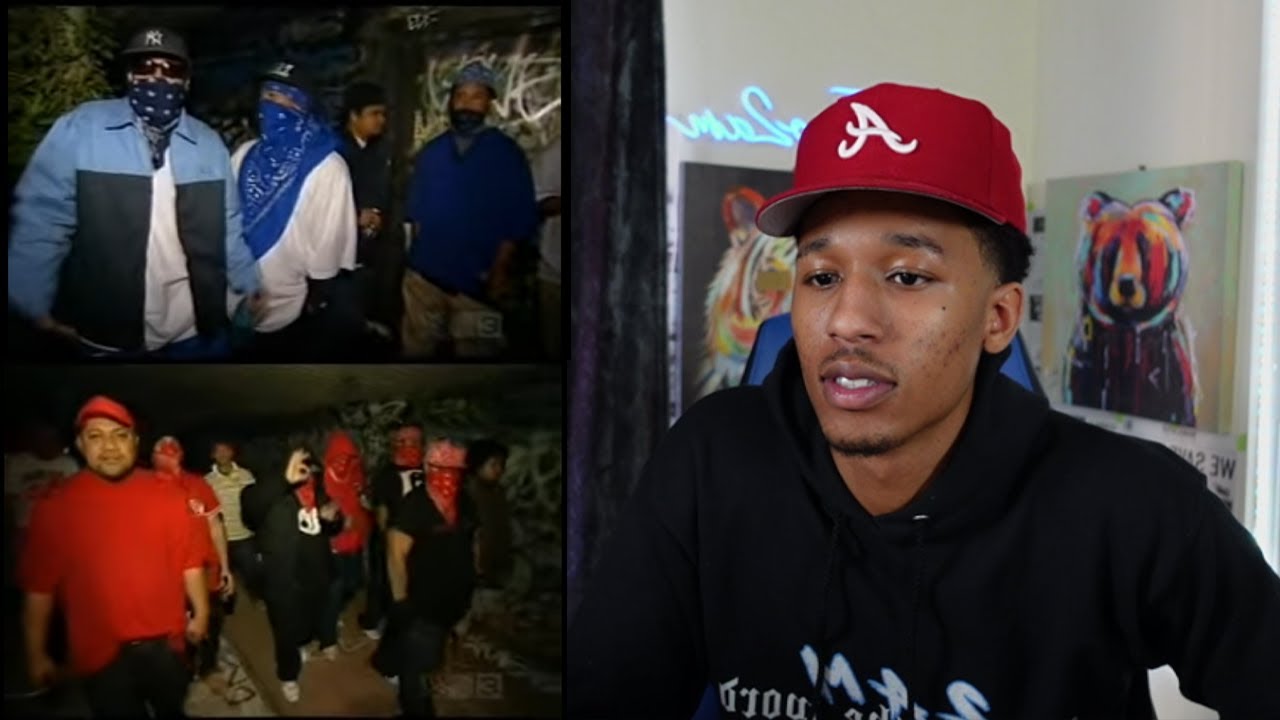 AMERICAN REACTS TO NZ GANGS : BLOODS & CRIPS