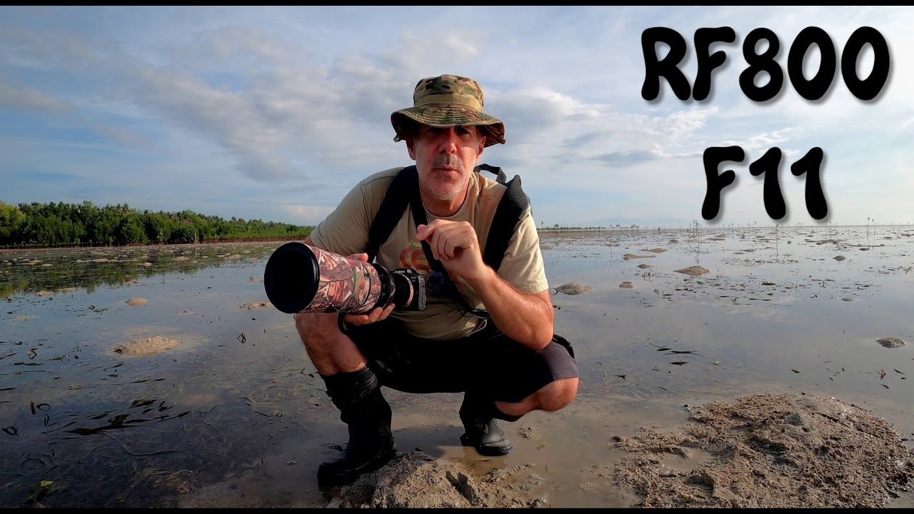 CANON RF800mm F11, my review. Pros and cons