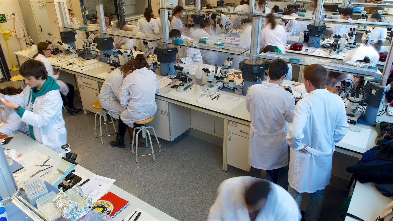 Bachelor's Degree in Chemistry (taught in English)