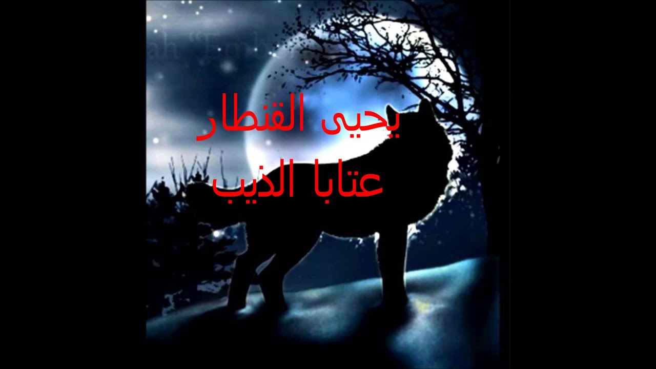 يحيى القنطار عتابا الذيب