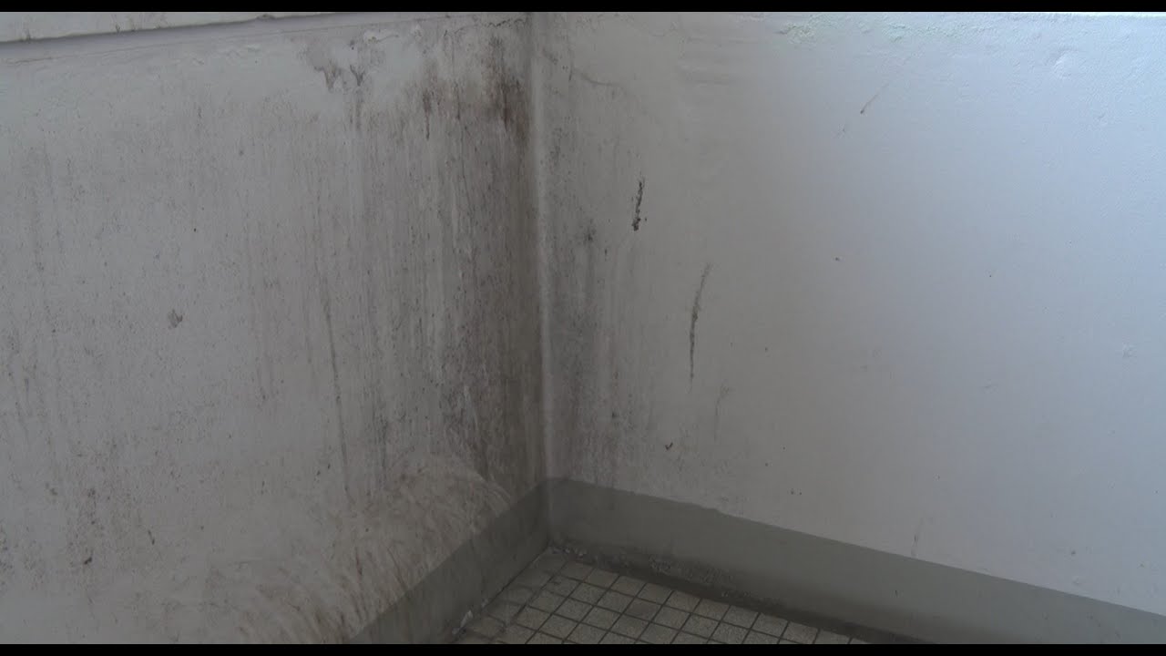 SCHIE TV: Schiedammers worden ziek van schimmel in huurwoningen