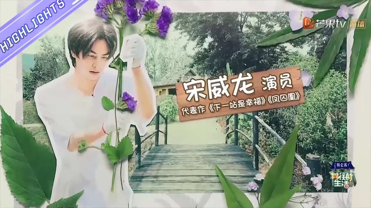 【宋威龙】习武少年的“歌王”进化史！直播间惊现奥数题？《向往的生活》 Back to field【芒果TV生活风尚频道】