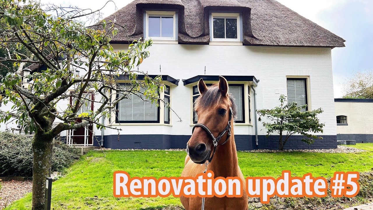 A Slow Home Transformation | Renovating Our 1850 Farmhouse
