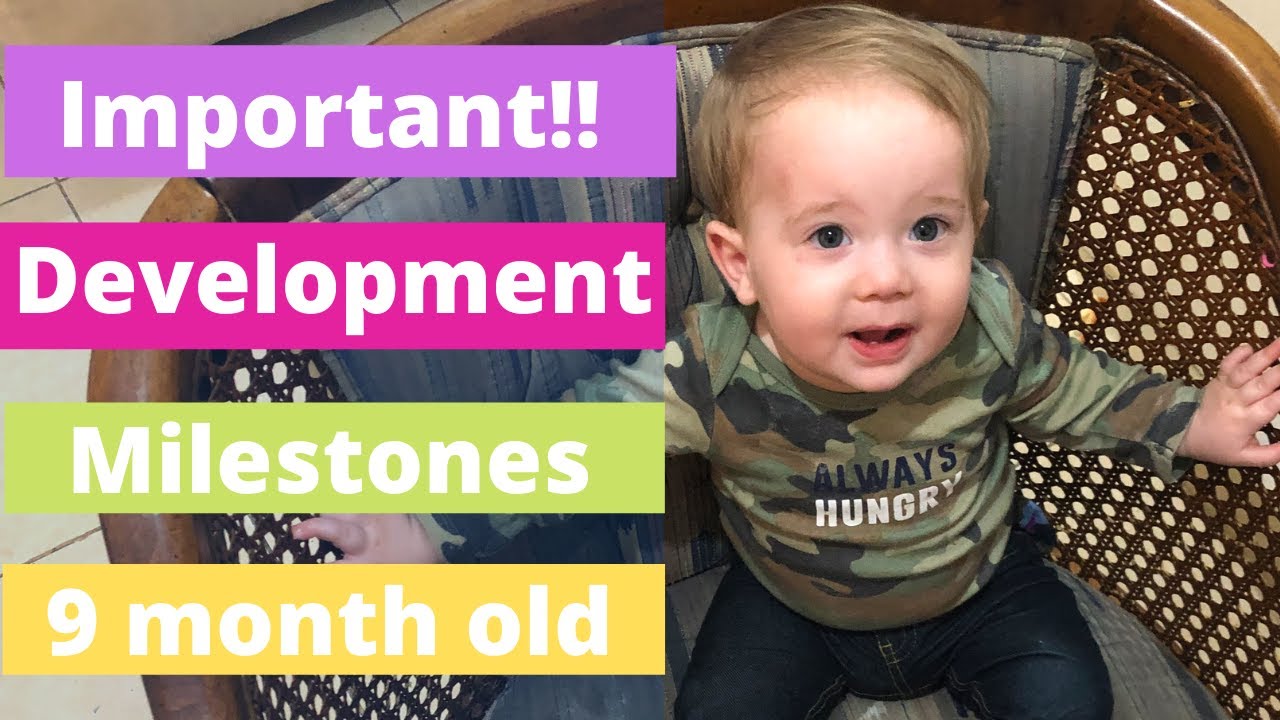 9 Month Baby Developmental Milestones  | Stages of Development for 9 month old Baby