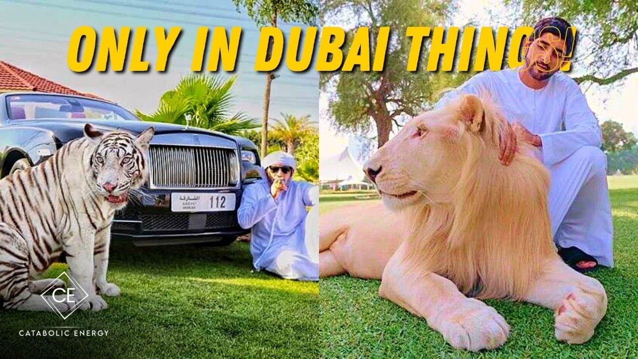15 Fascinating Things That Make Dubai Unique | Catabolic Energy