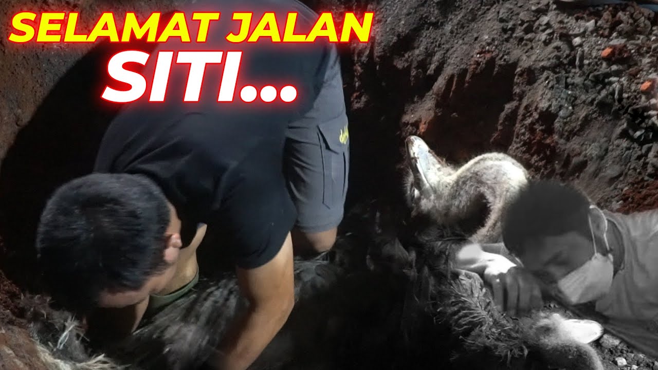 PERJUANGAN MU TELAH SELESAI..TENANG DISANA :') SITI..