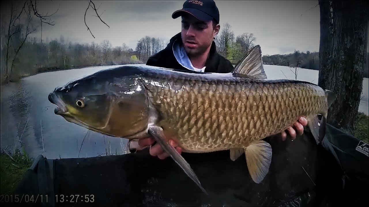 Pêche à la carpe 2015 session lac ( film )