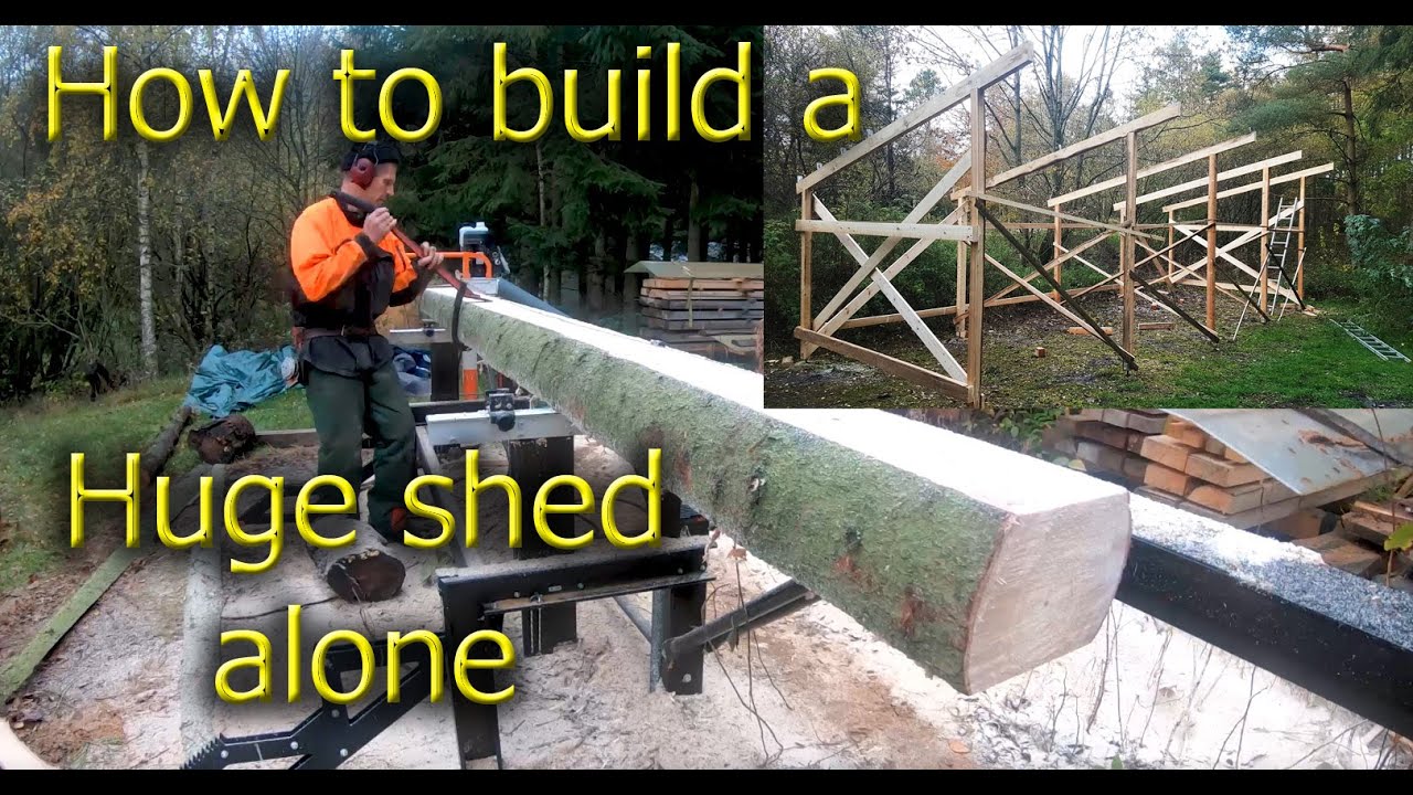How to build a huge shed by yourself. A logging, sawing and building project. Part 1