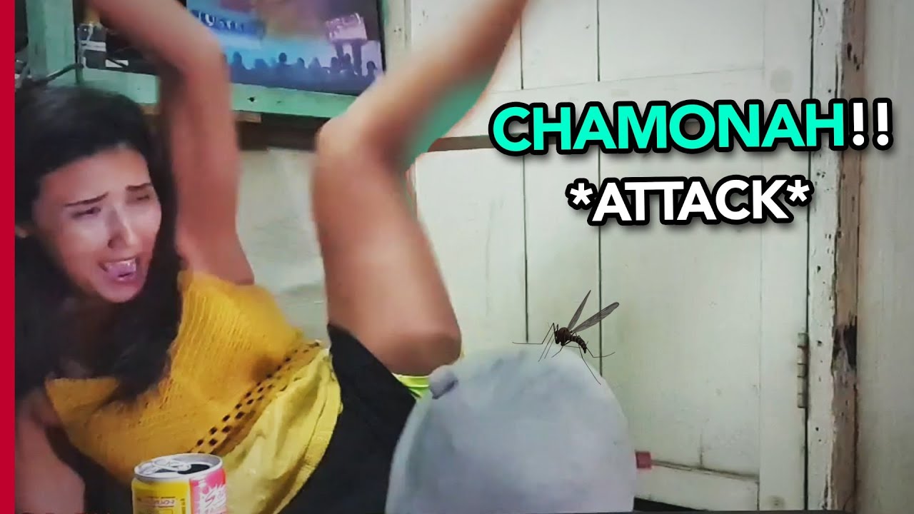 ✘ Best Twitch Perfect Timing Moments  #18