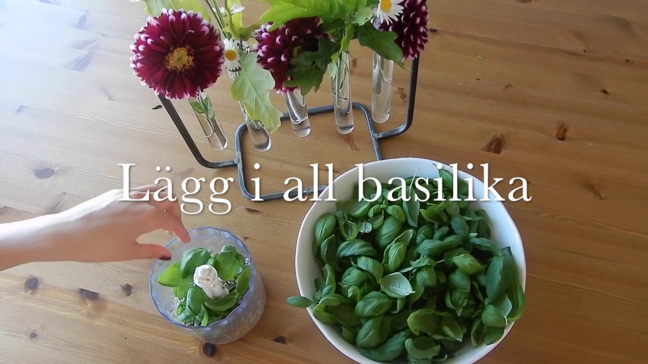 Basilika pesto