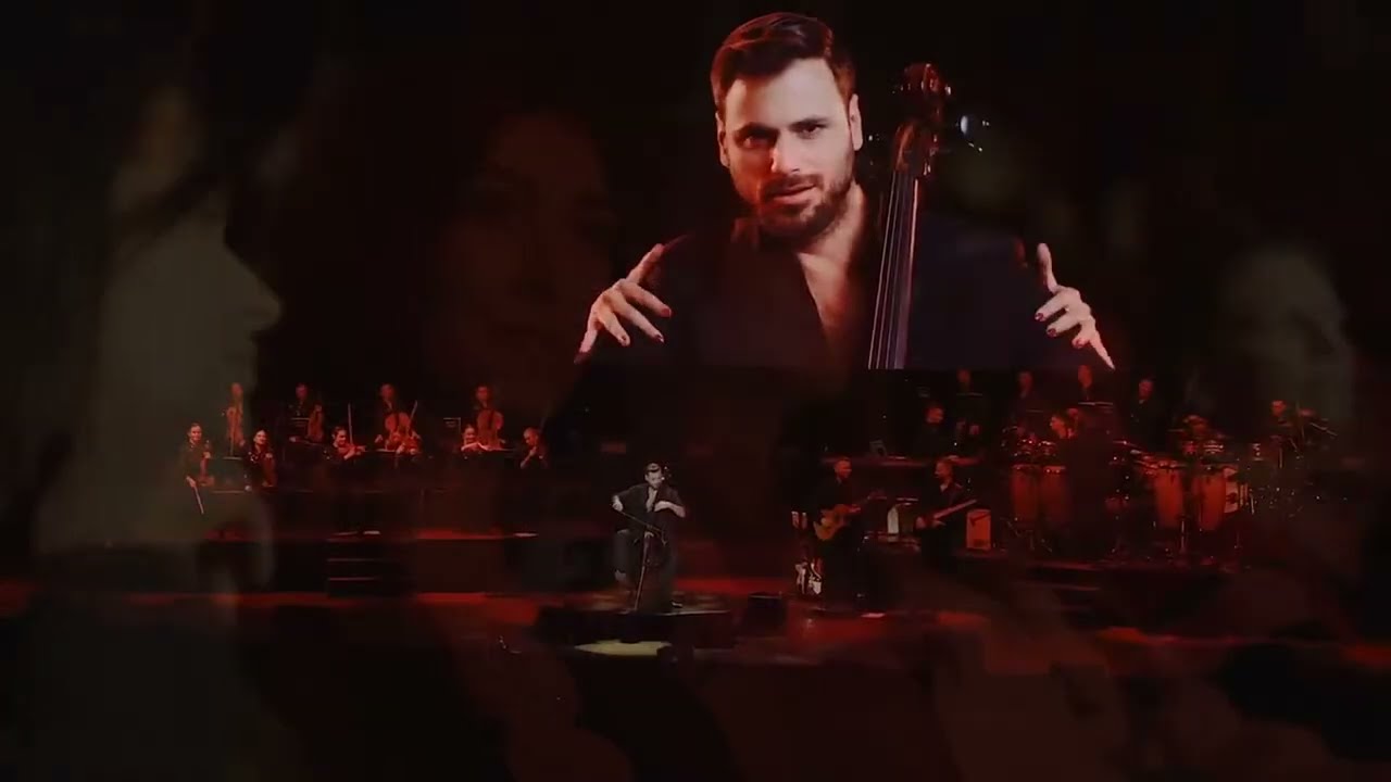 Señorita (Live in Budapest) by HAUSER