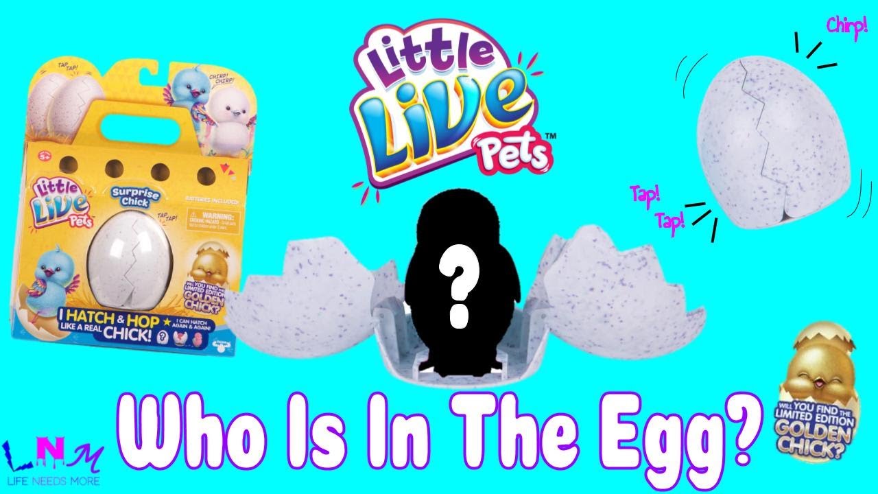 WILL WE HATCH THE GOLDEN CHICK?! │Unboxing Little Live Pets Surprise Baby Chick Review!