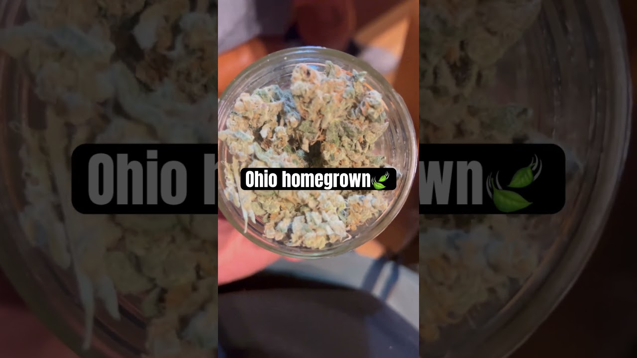 Terps on terps #cannabisindustry