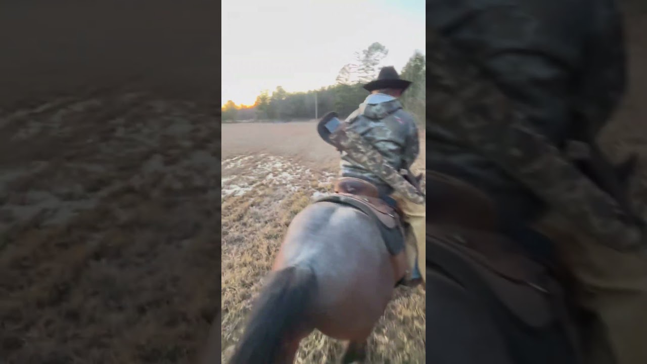 Riding horses in cold weather