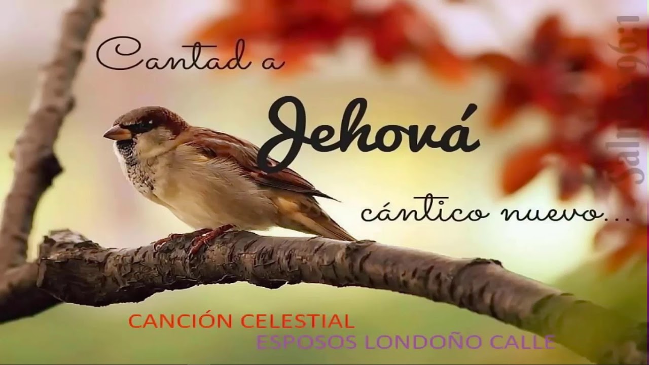 Eterna adoracion Esposos Londoño Calle