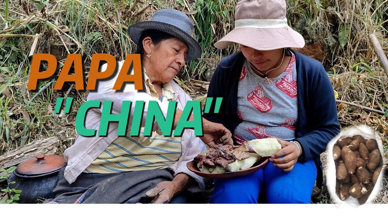 Cosecha de papa China