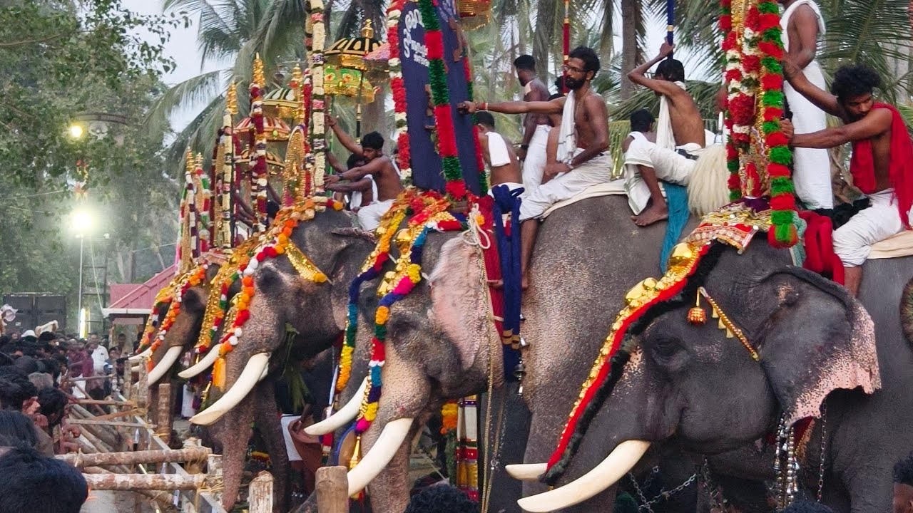 Kappiyur Pooram 2025❤️ കപ്പിയൂർ പൂരം 2025🔥#kappiyoor #Kappiyur #elephant #aanapooram #pooram #aana