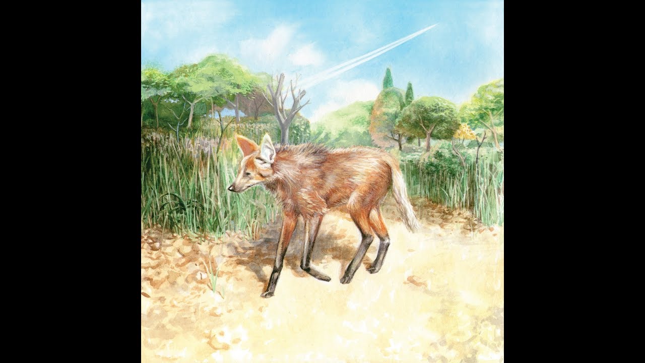 Mi Nave - Estela (2014) Full Album