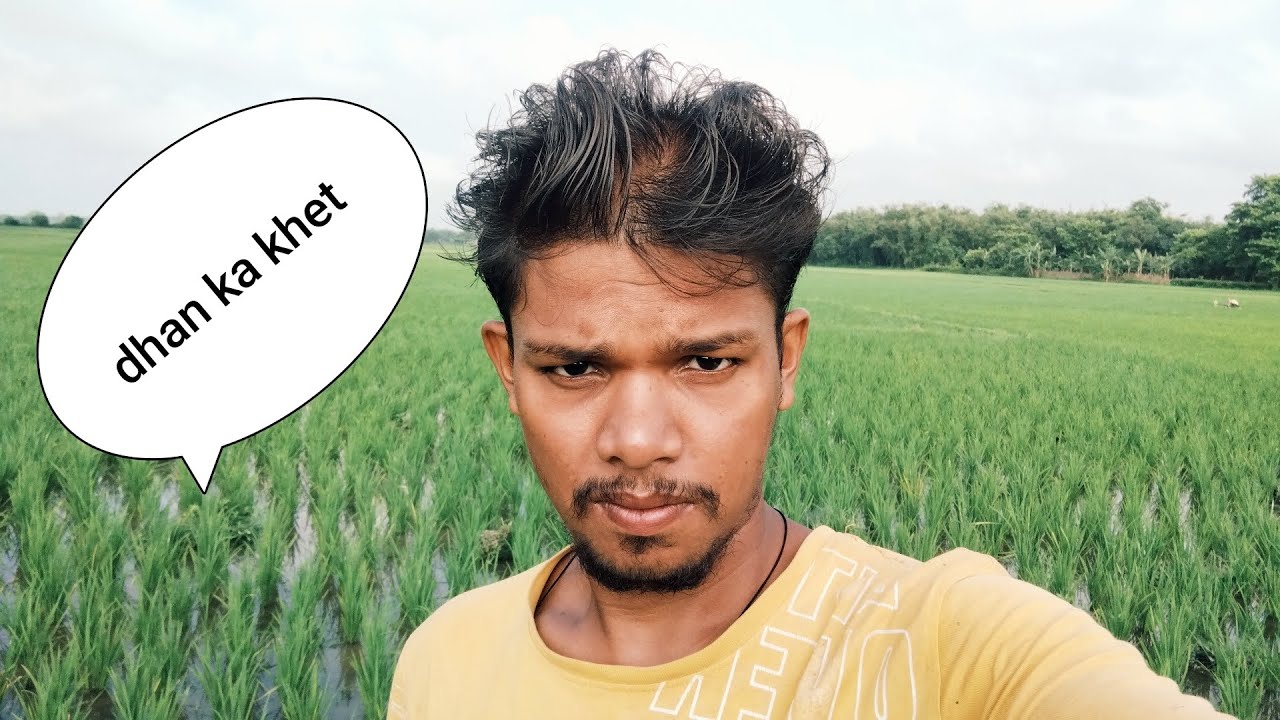 Dhaan ka Khet