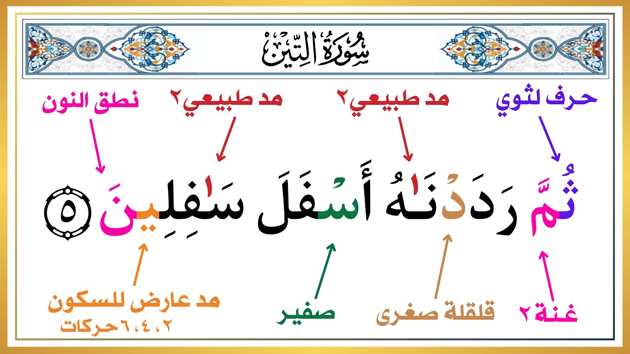 تعلم النطق الصحيح لسورة التين | كيف تحفظ القرآن الكريم بسهولة | الطريقة الصحيحة | علم أولادك القرآن