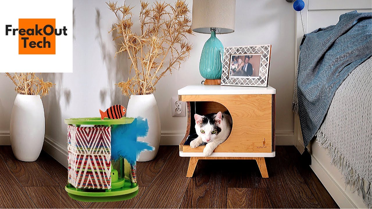 5 Incredible Cat Inventions You Must See