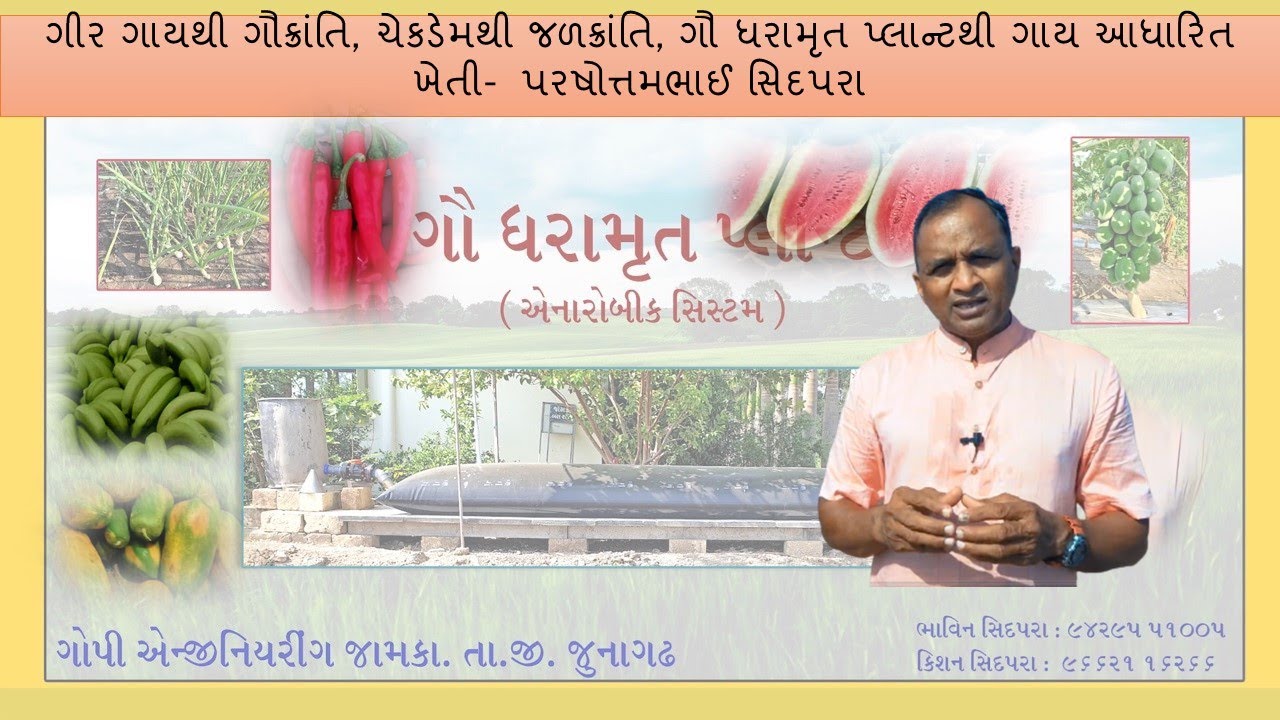 ગીર ગાયનું સંવર્ધન તથા ગૌ ધરામૃત પ્લાન્ટથી સજીવ ખેતી- પરષોત્તમભાઈ સિદપરા, જામકા, જુનાગઢ
